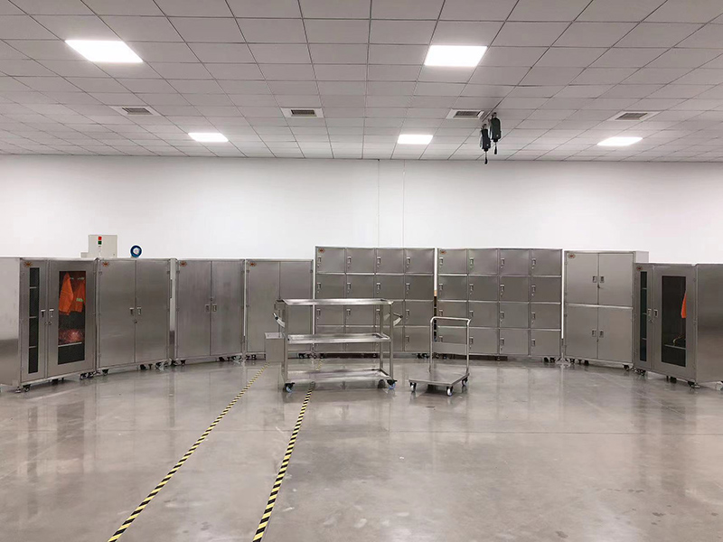 �뵼�����